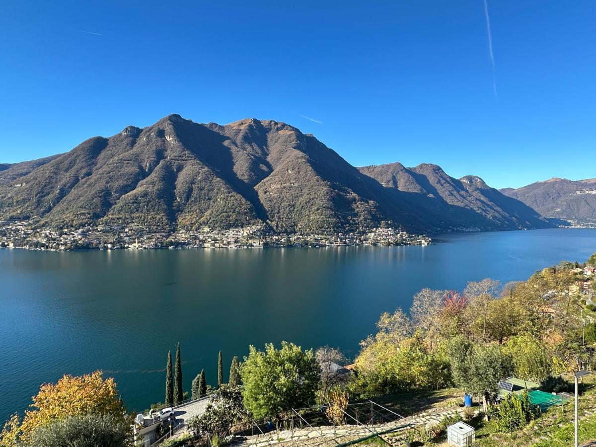 La Casa Del Mastro - Como Lake Pognana Lario Zewnętrze zdjęcie
